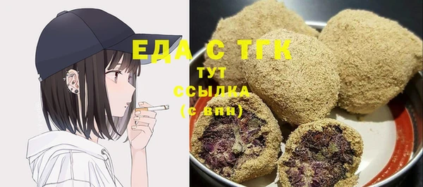 spice Богородицк